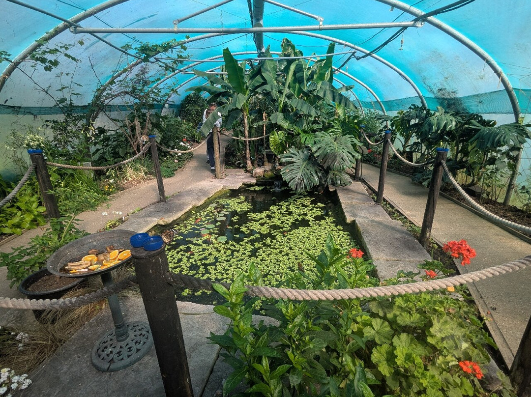 Butterfly Gardens @ Middleton Common Farm-Westmeston必去景点