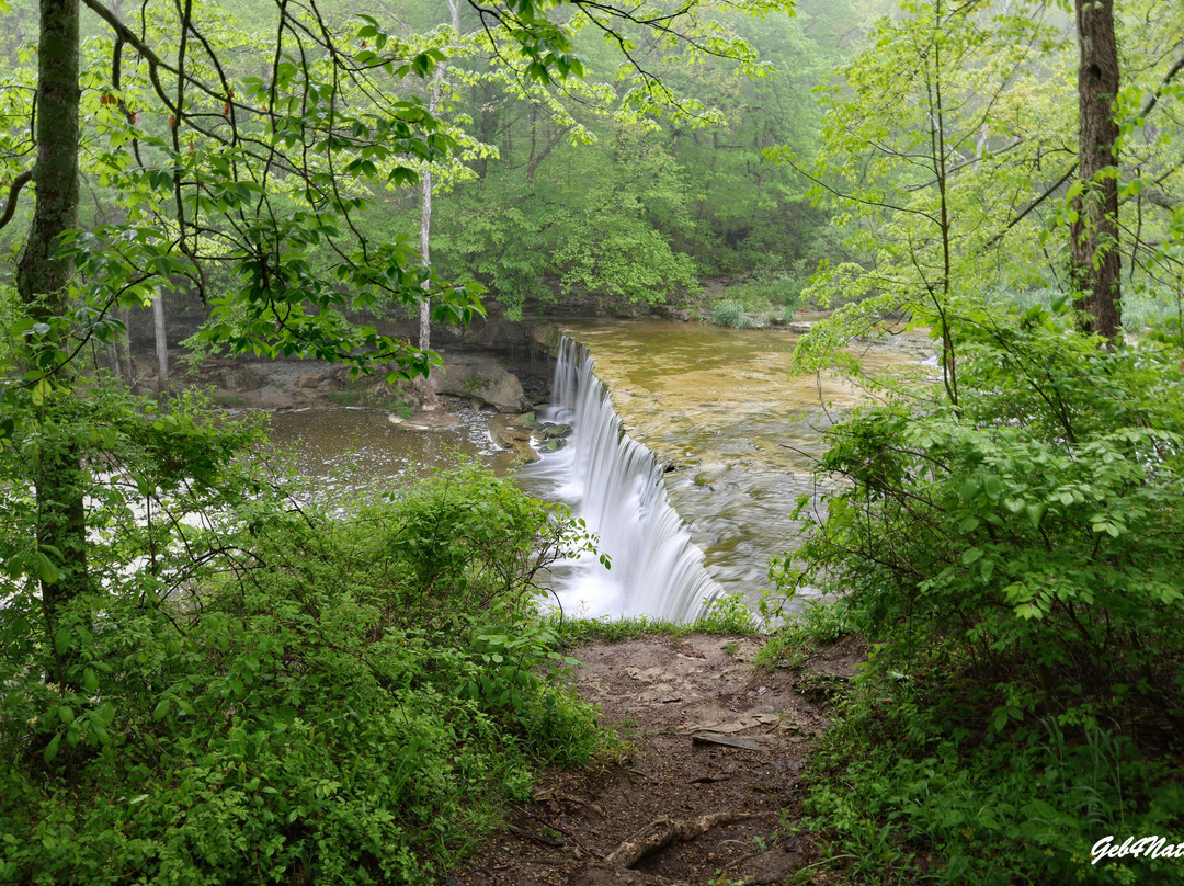 Anderson Falls-Hartsville必去景点