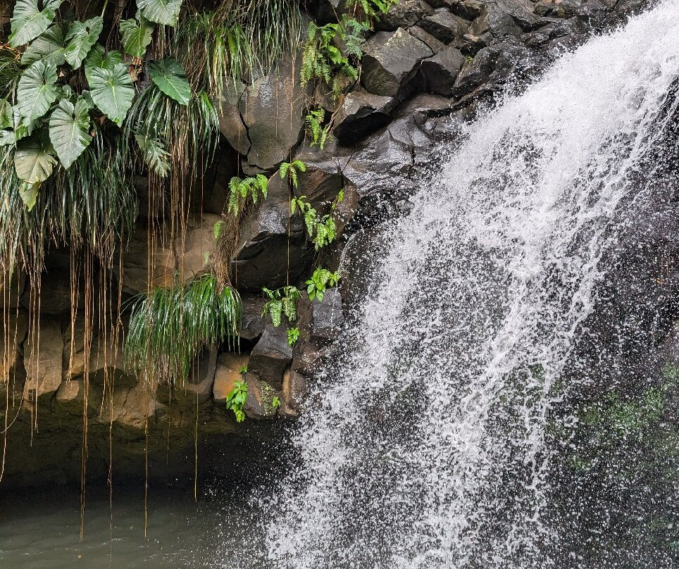 Annandale Falls-St. George's必去景点