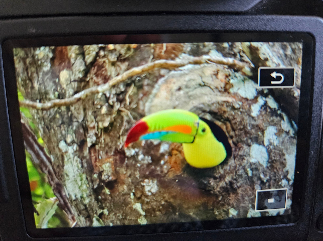 Woodpecker Educational Tours-Canas必去景点
