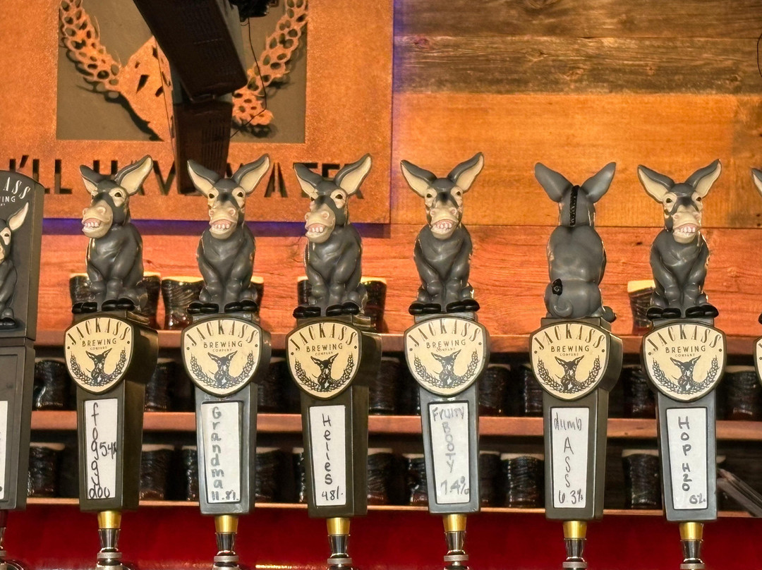 Jackass Brewing Company
