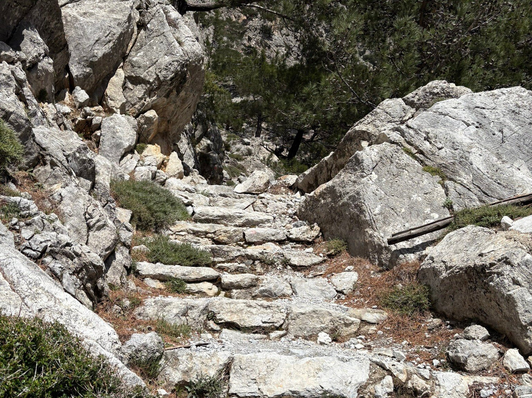 Rouvas Gorge (Agiou Nikolaou)-Zaros必去景点