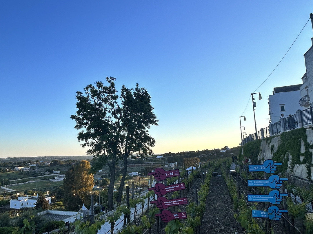 Azienda Agricola Bufano-洛科罗通多必去景点
