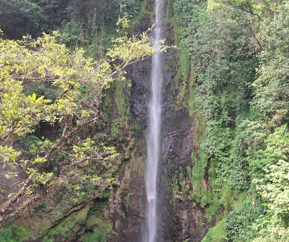 Manakin Waterfalls Nature Reserve.-Tilaran必去景点