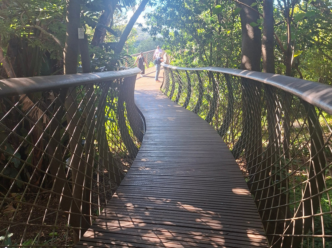 康斯坦博西国家植物园-Newlands必去景点
