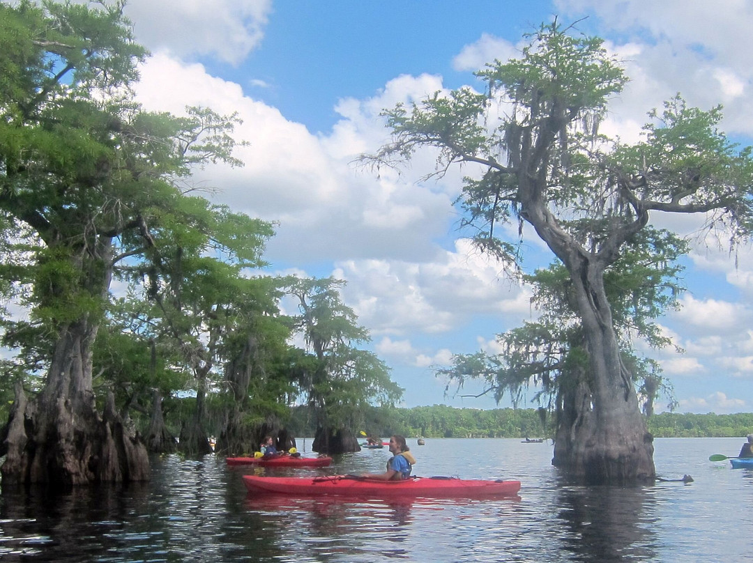 Lake Norris Conservation Area-Eustis必去景点