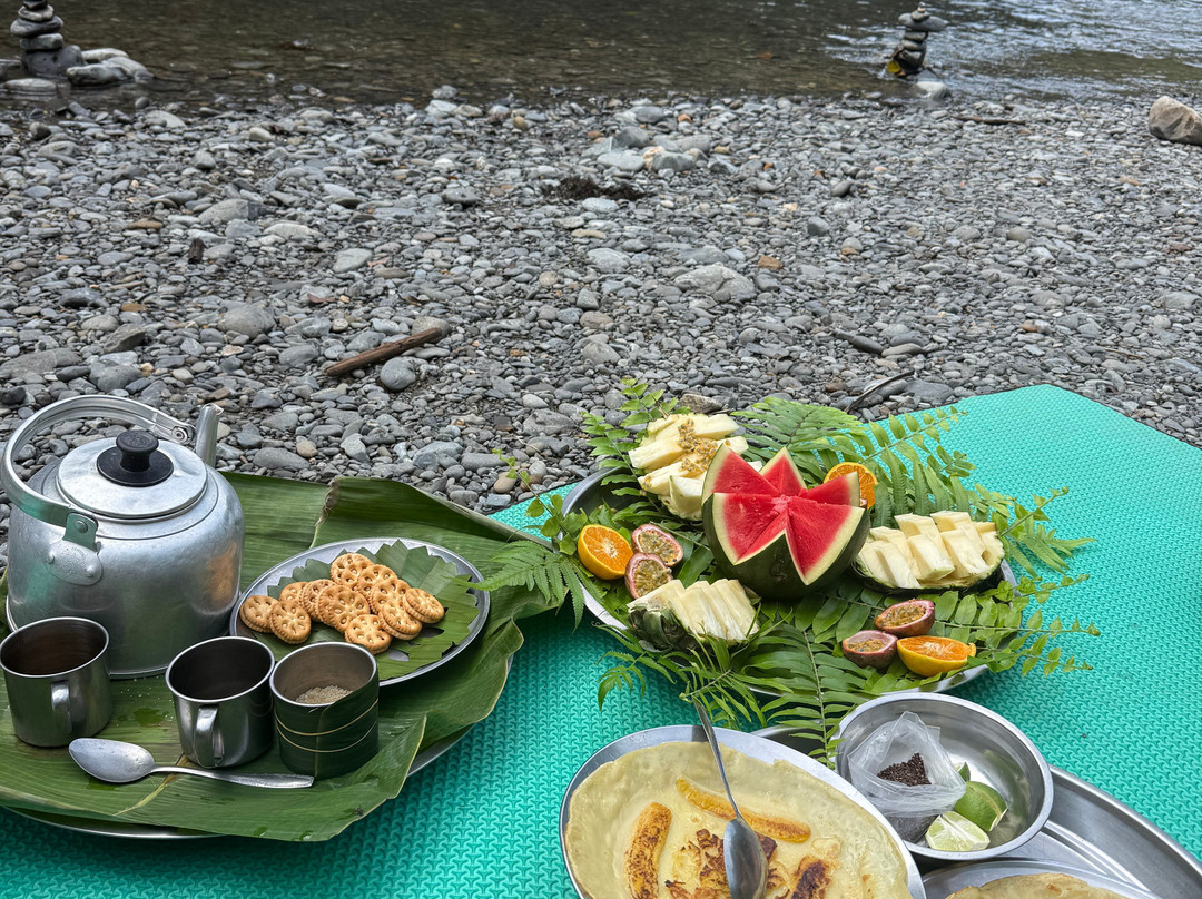 Trekking Orangutan Sumatra-武吉拉旺必去景点