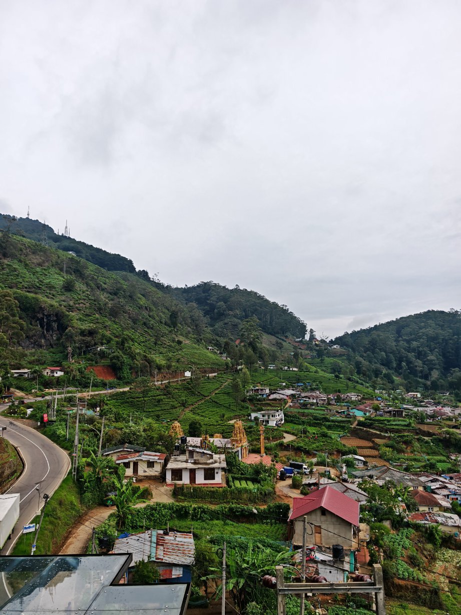 金岭酒店-旅行者