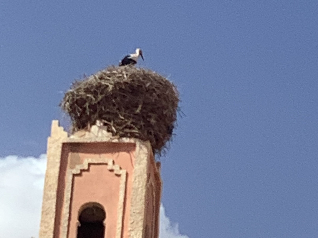 Dar Rihana Dadès