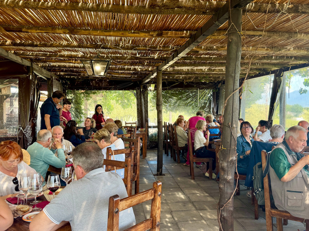 Cantina del Vesuvio Winery-Trecase必去景点