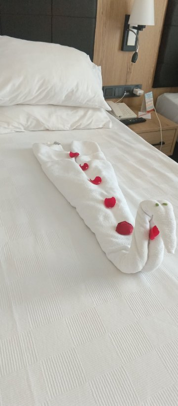 大鸟巢Prestige SPA-旅行者