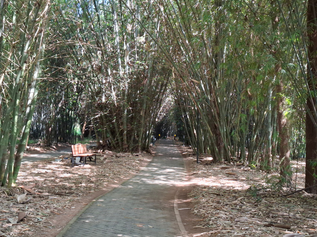 Nyandungu Eco-Park