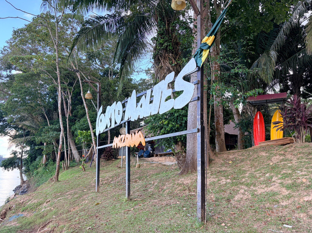 Corto Maltes Amazonia Lodge主图