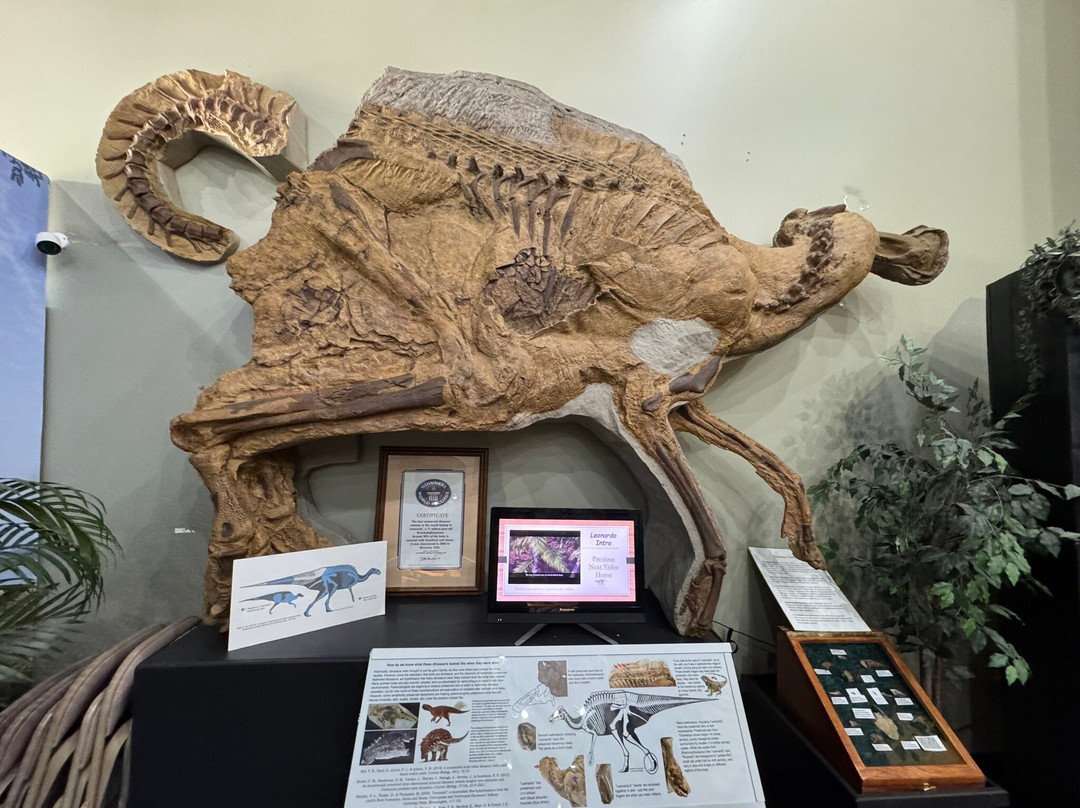 Great Plains Dinosaur Museum-Malta必去景点