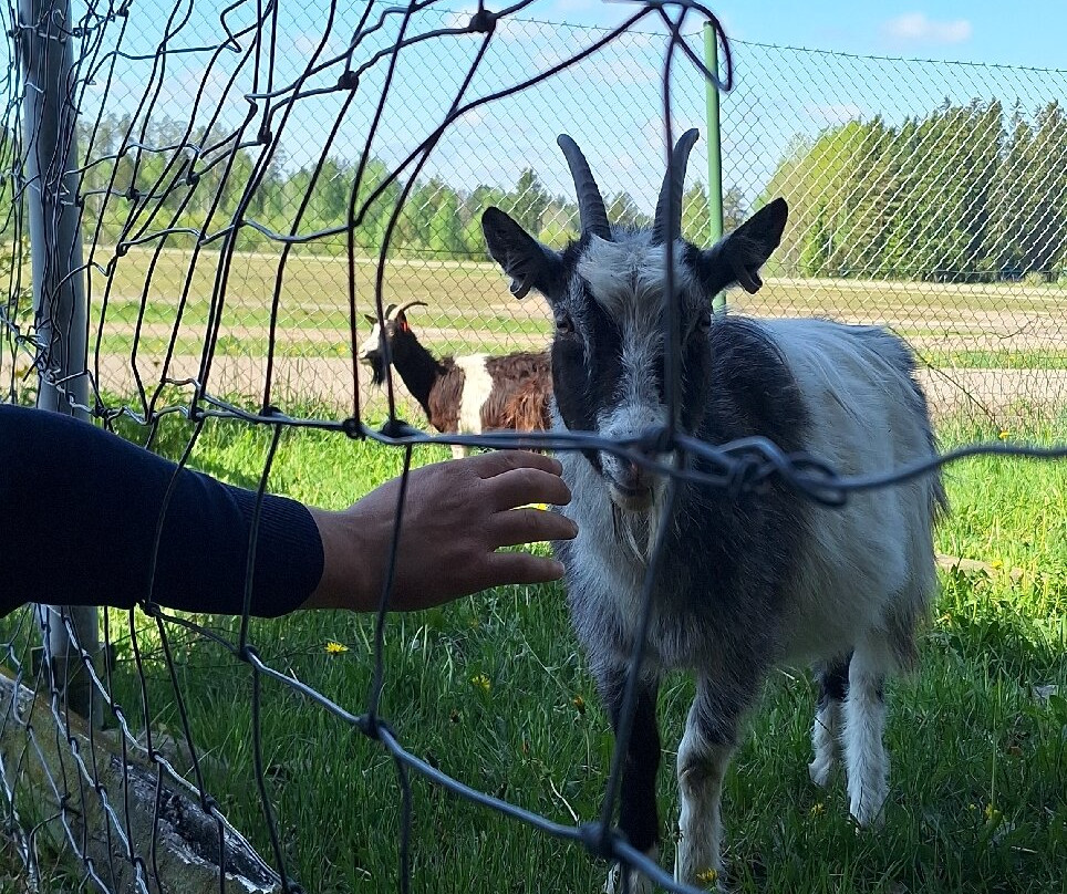 Orimattilan Kotielainpuisto