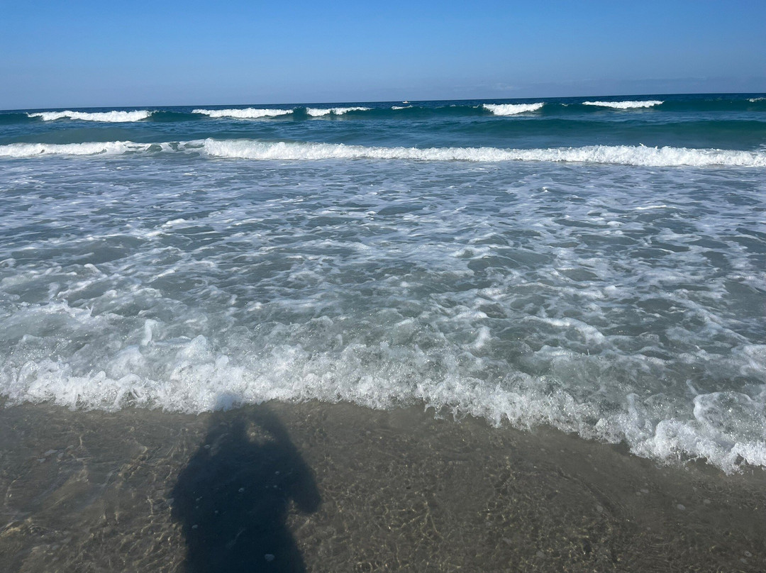 Wrightsville Beach-赖茨维尔比奇必去景点