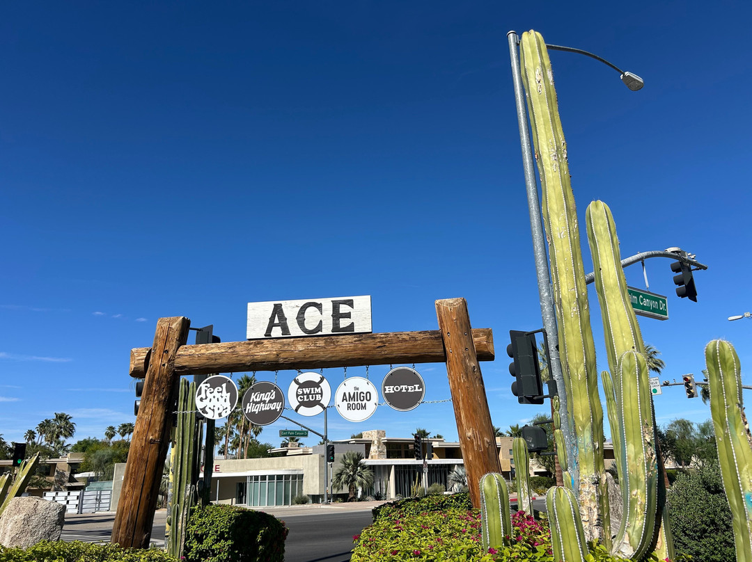 ACE酒店和棕榈泉游泳俱乐部主图