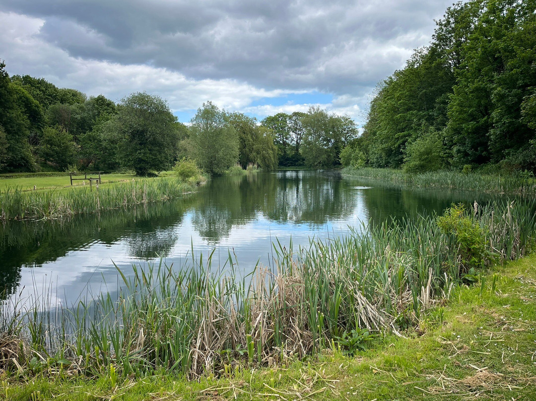 Chalk Springs Trout Fishery-阿伦德尔必去景点