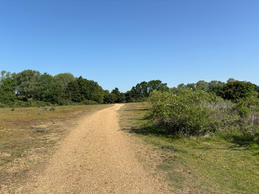 Paxton Pits Nature Reserve-Little Paxton必去景点