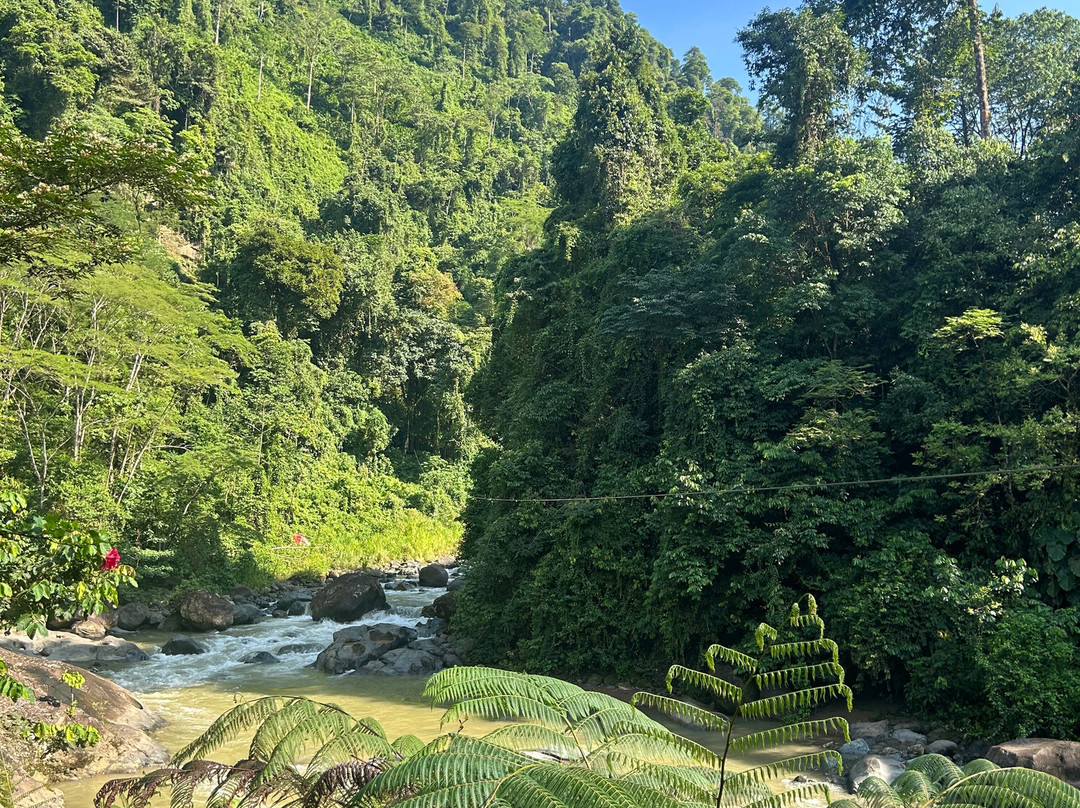 Rainforest Discovery-La California必去景点