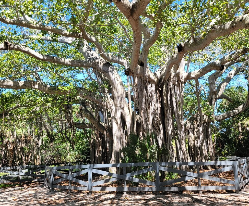 Hugh Taylor Birch State Park-劳德代尔堡必去景点