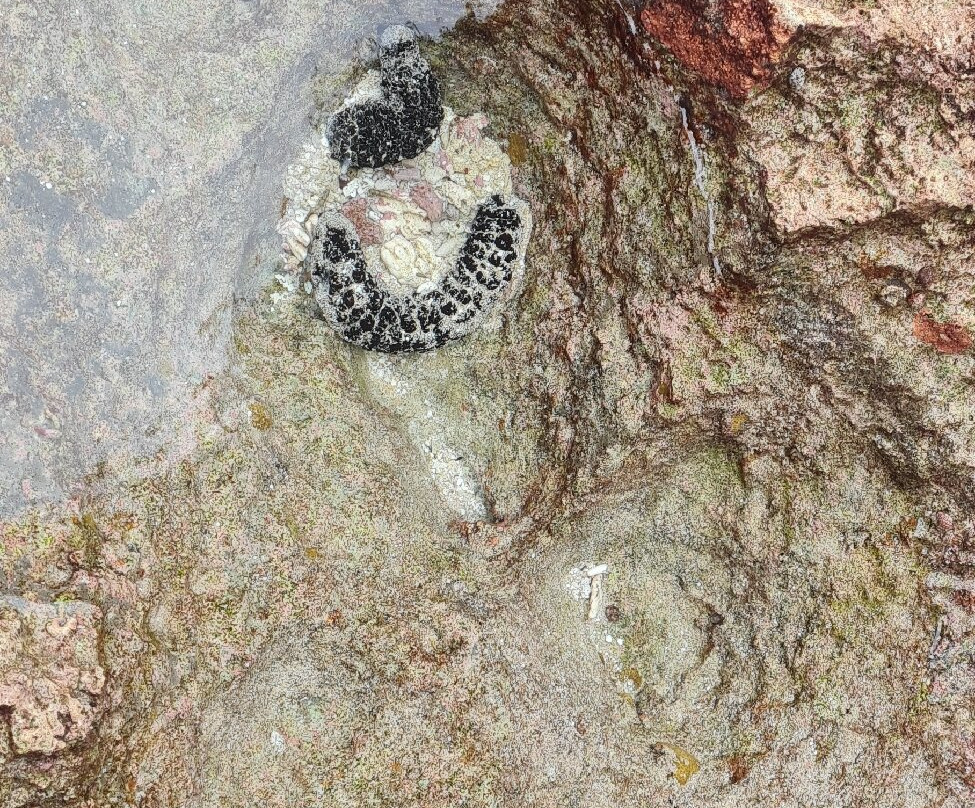 Avaiki Cave-Makefu必去景点