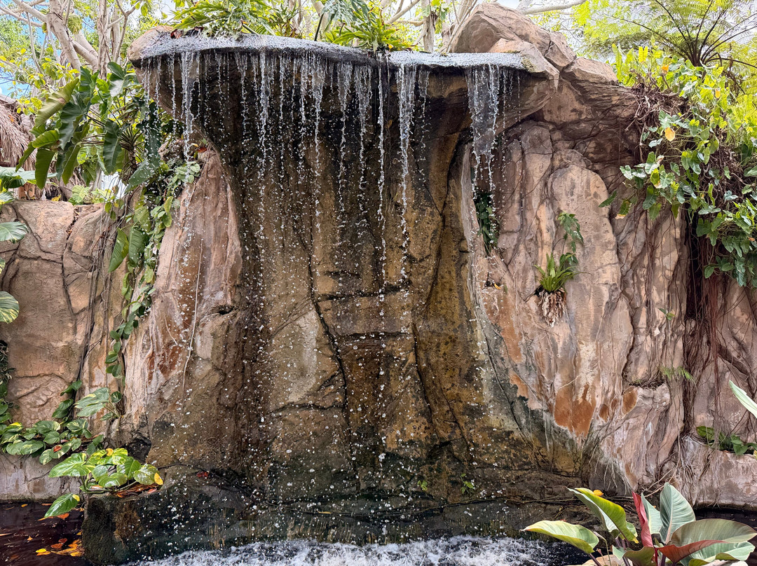 Marie Selby Botanical Gardens-萨拉索塔必去景点