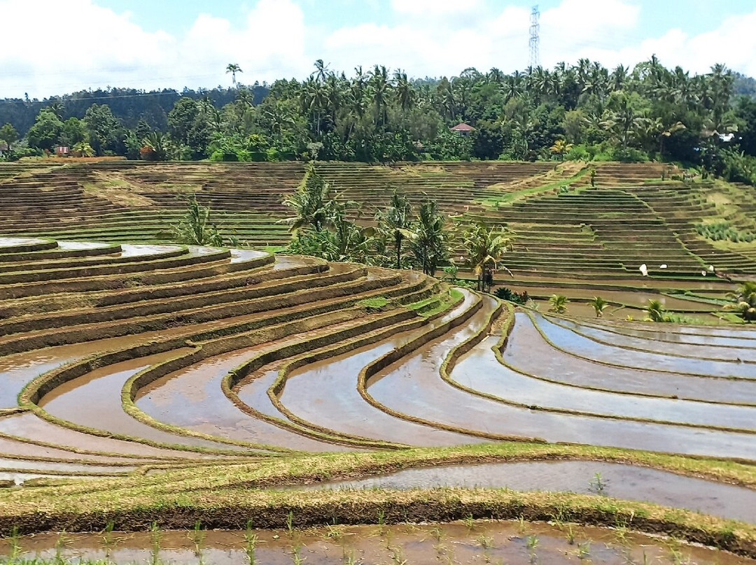 Belimbing Village-达巴南必去景点