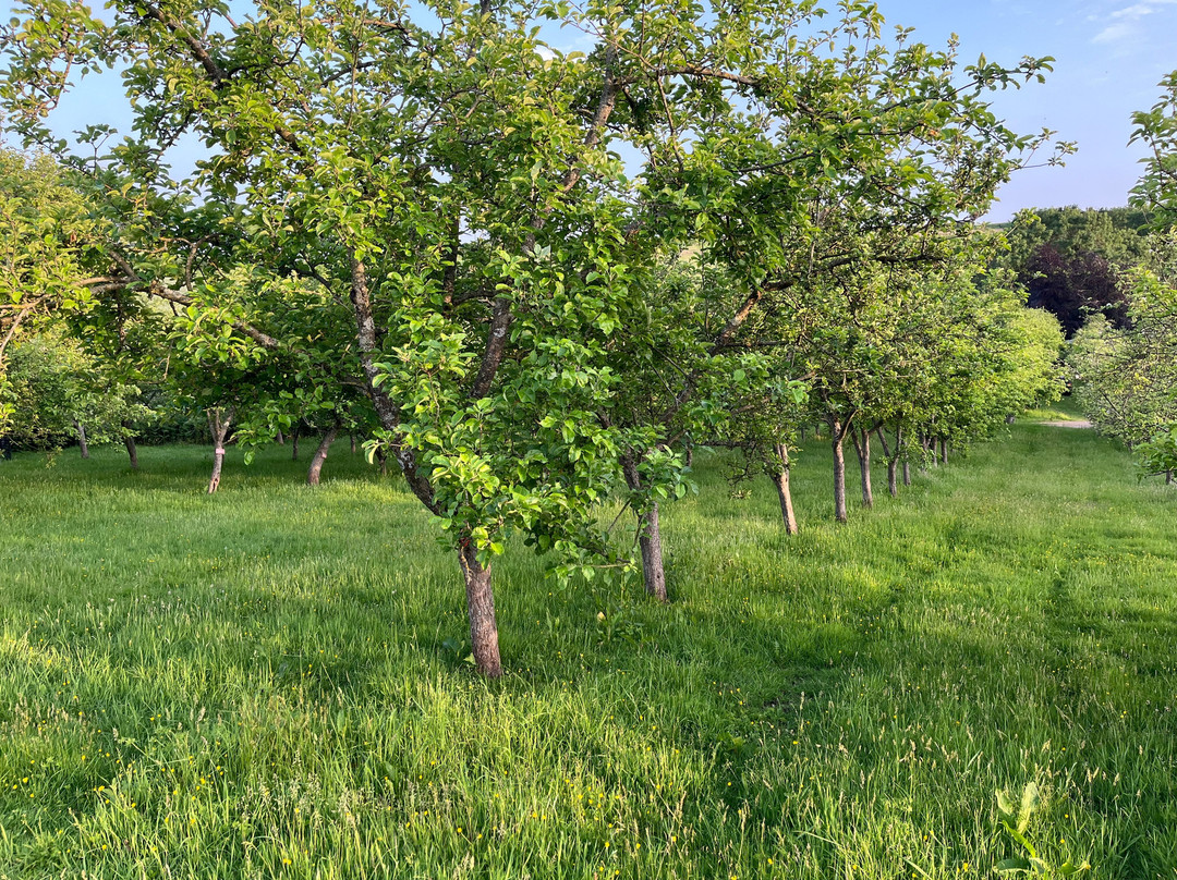 Torre Cider Farm-Washford必去景点