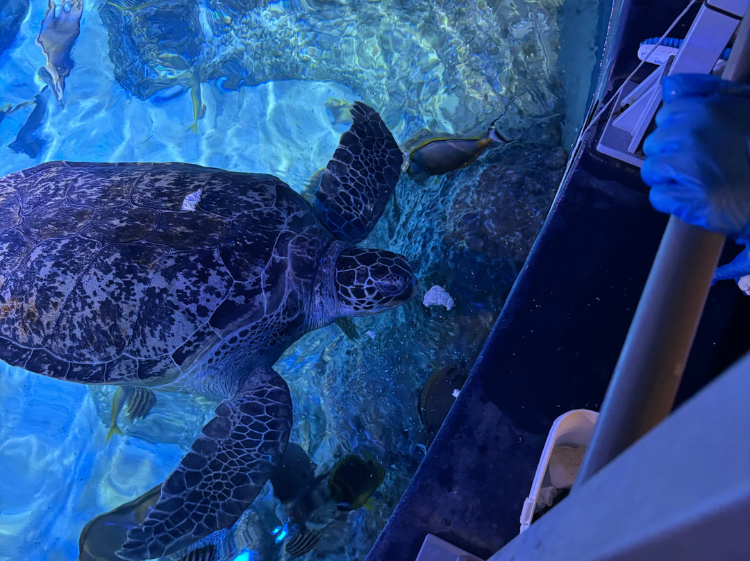 Sea Life Manchester-Trafford Park必去景点