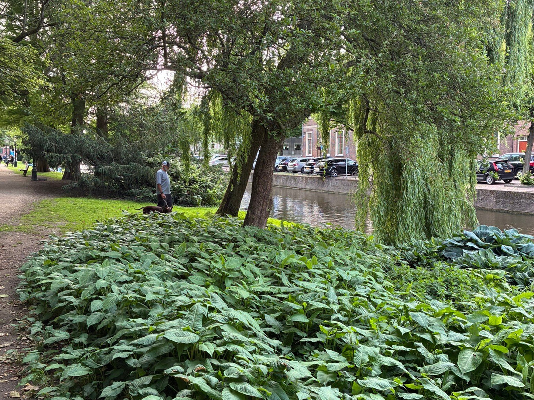 Van der Werfpark-莱顿必去景点