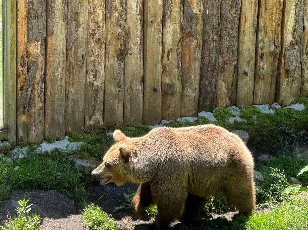Zoo Ljubljana-卢布尔雅那必去景点