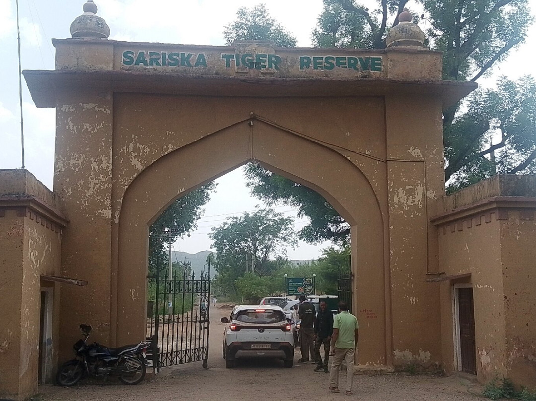 Sariska Tiger Reserve-阿尔瓦必去景点