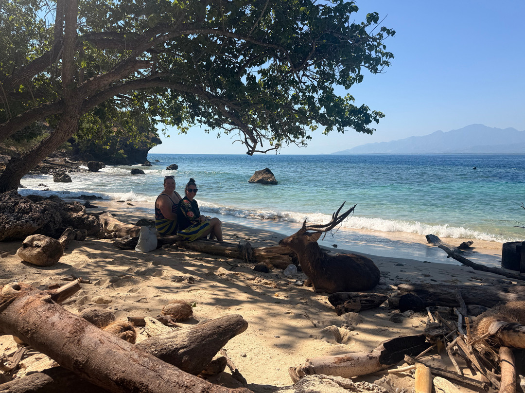 Bali Hai Diving Menjangan-班玉威当必去景点
