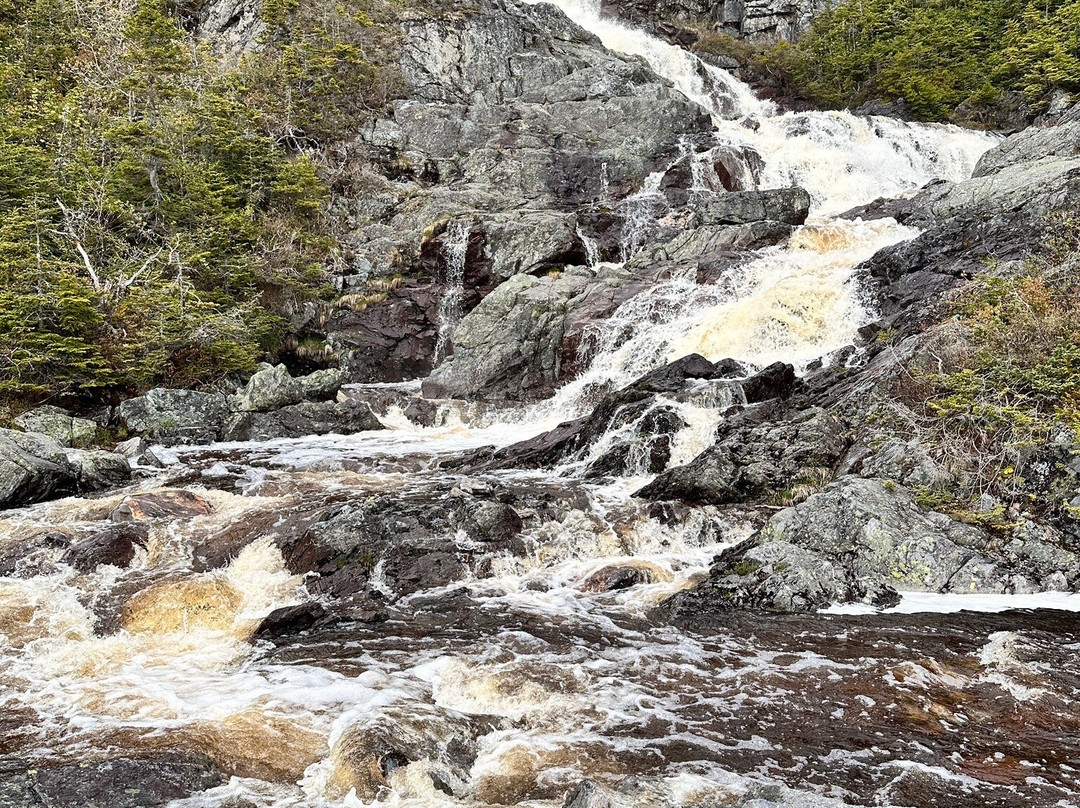 Barachois Falls Hiking Trail-Burnt Islands必去景点