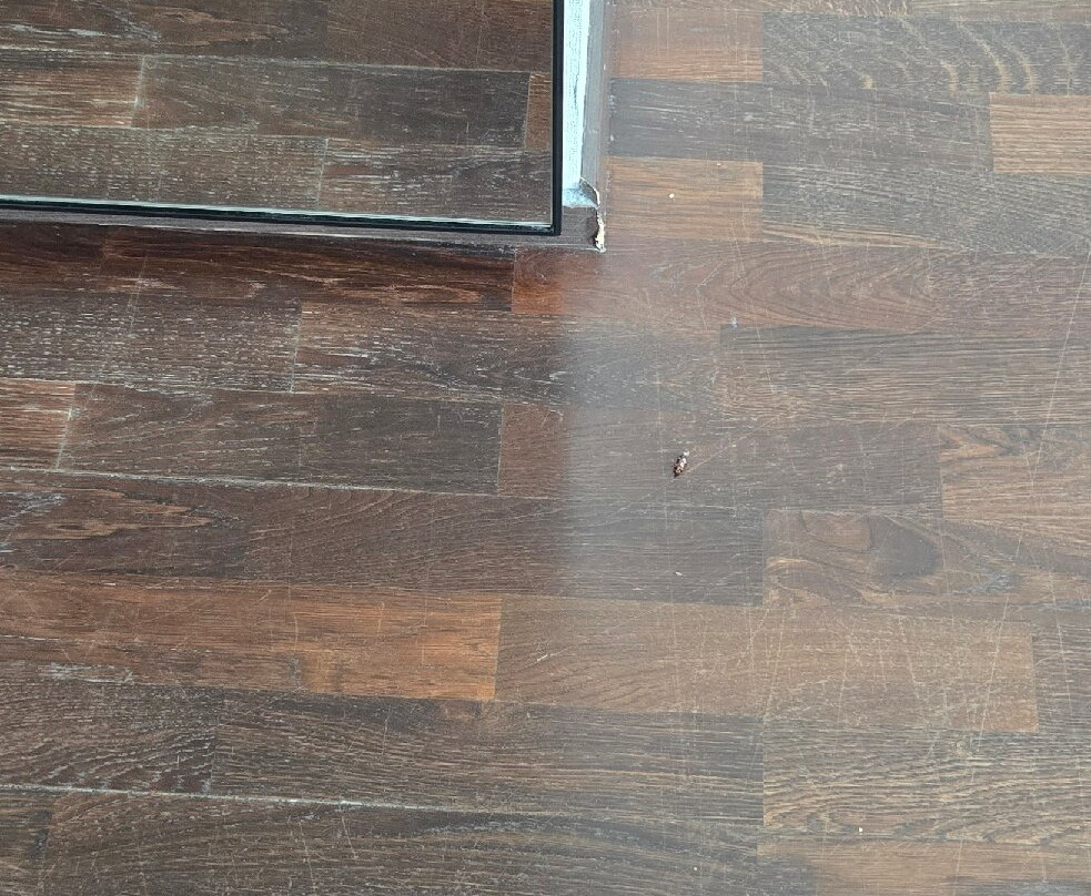 布拉迪斯拉发酒店主图