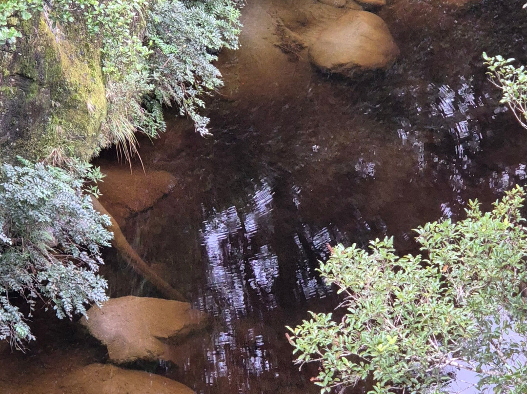 霍基蒂卡峡风景保护区-霍基蒂卡必去景点