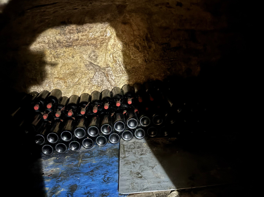 Sterna Winery-卡西卡斯必去景点