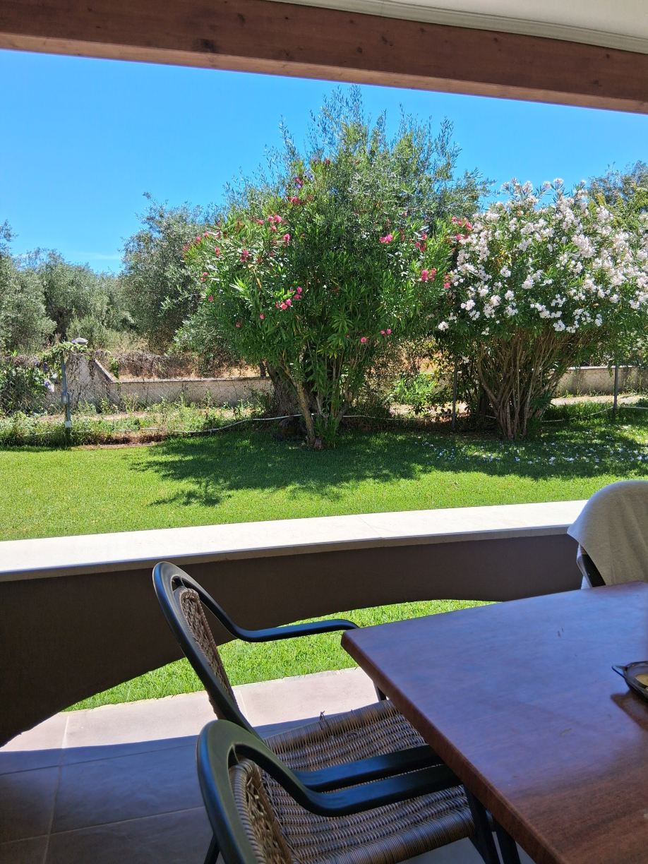 Theodoros Resort-旅行者