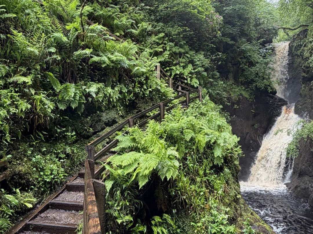 Glenariff Forest Park-County Antrim必去景点