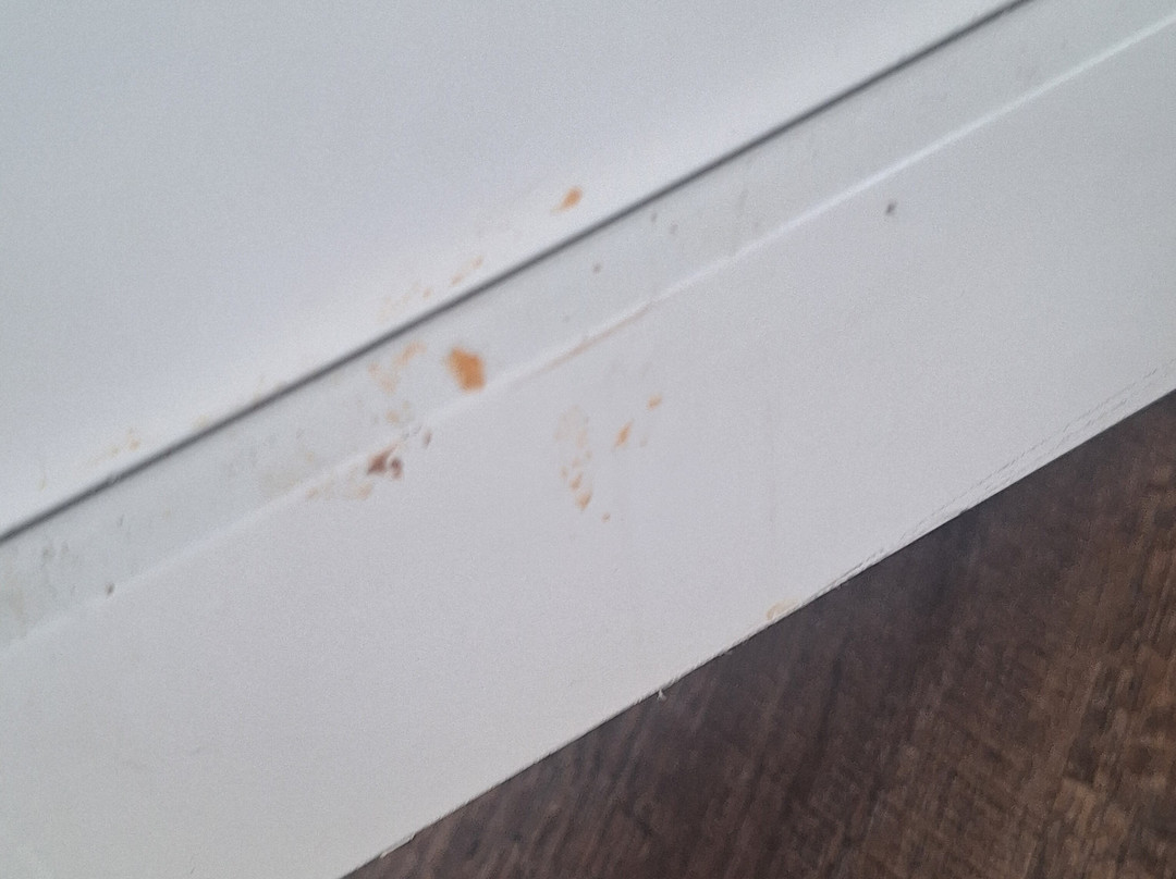卡玛切海港旅馆主图