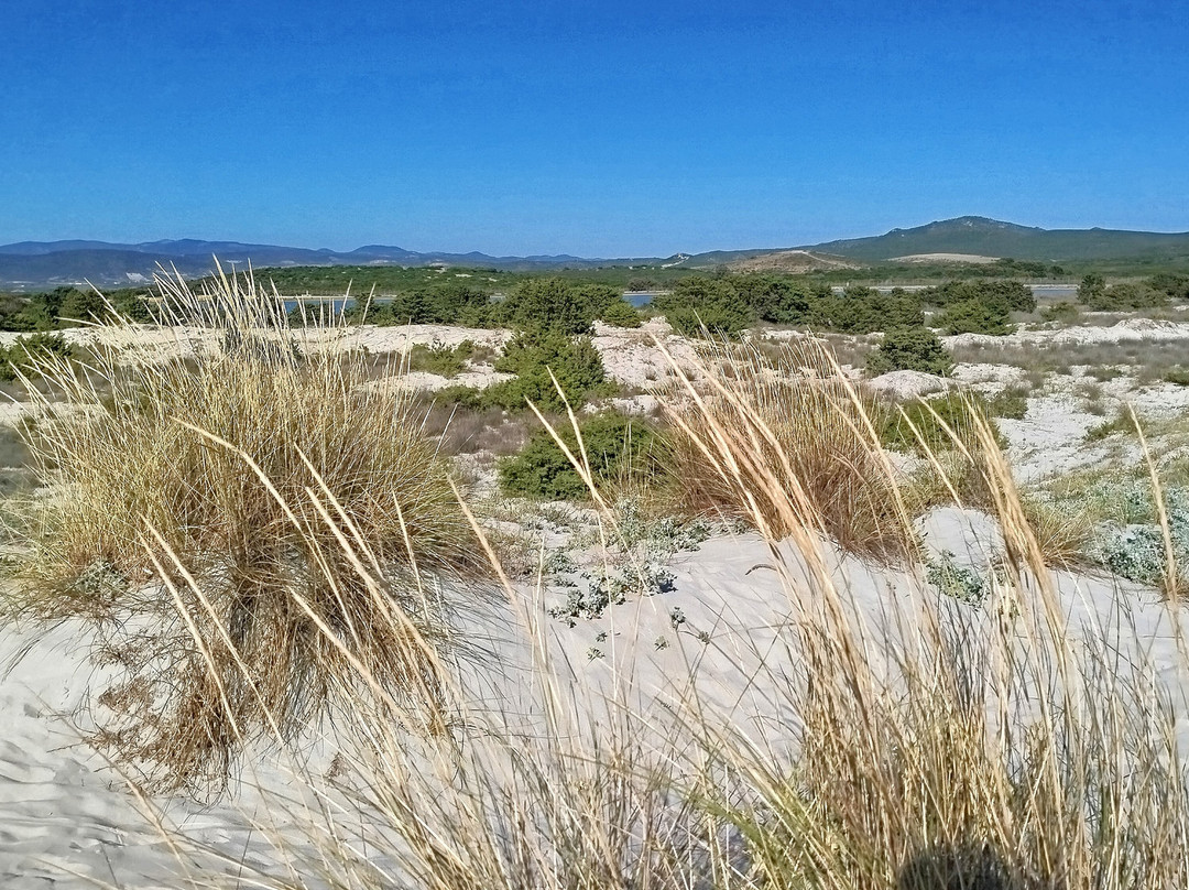Bahia Porto Pino Beach-Sant'Anna Arresi必去景点
