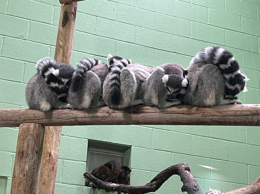 Idaho Falls Zoo-爱达荷福尔斯必去景点