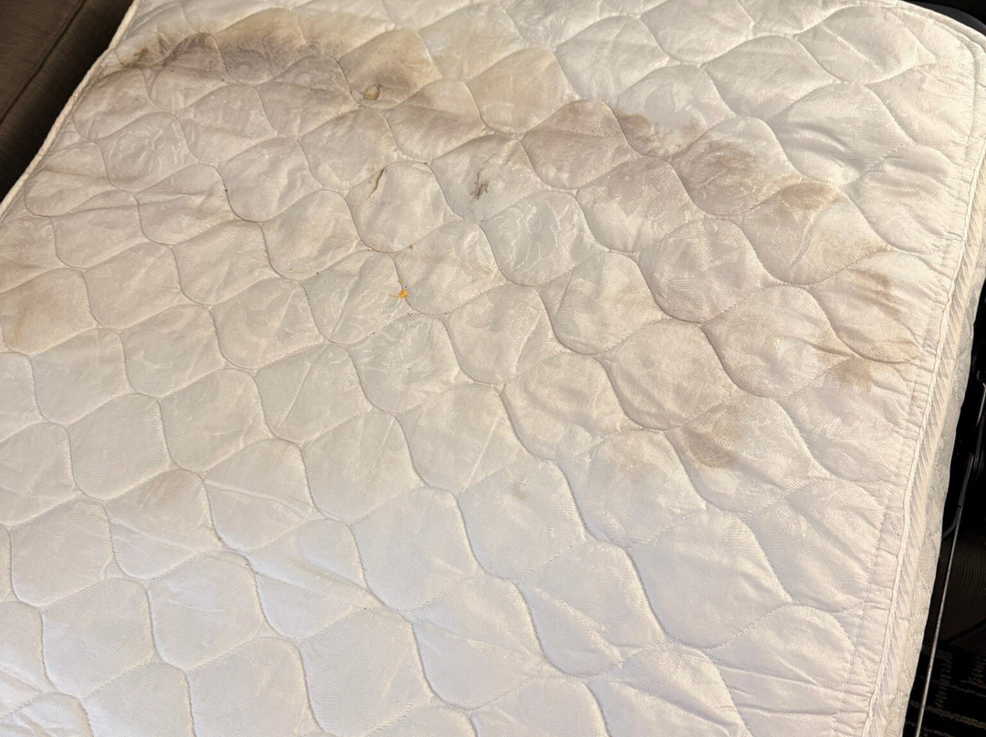 杰克逊机场拉昆塔温德姆套房酒店主图
