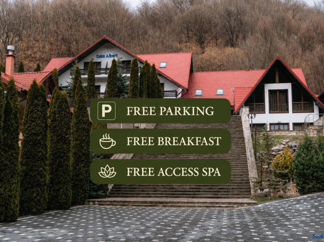 Albert Mountain Retreat & SPA