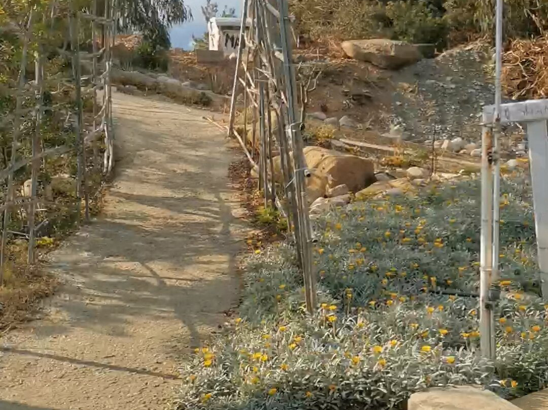 Maia Beach-Agios Theodoros必去景点