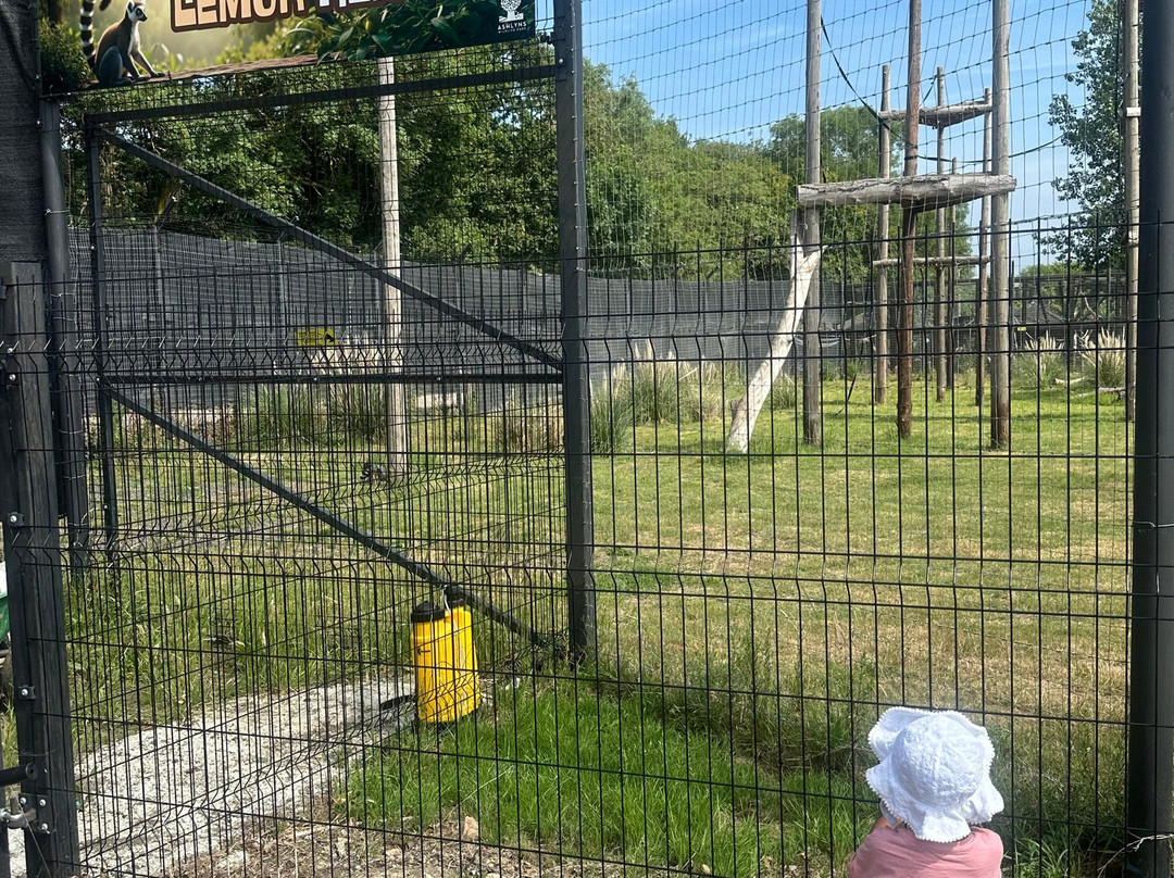 Ashlyns Wildlife Park-North Weald必去景点