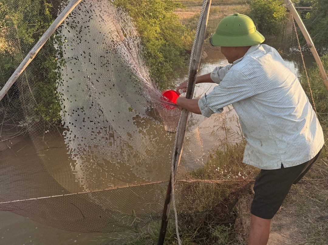 Phong Nha Farmstay主图