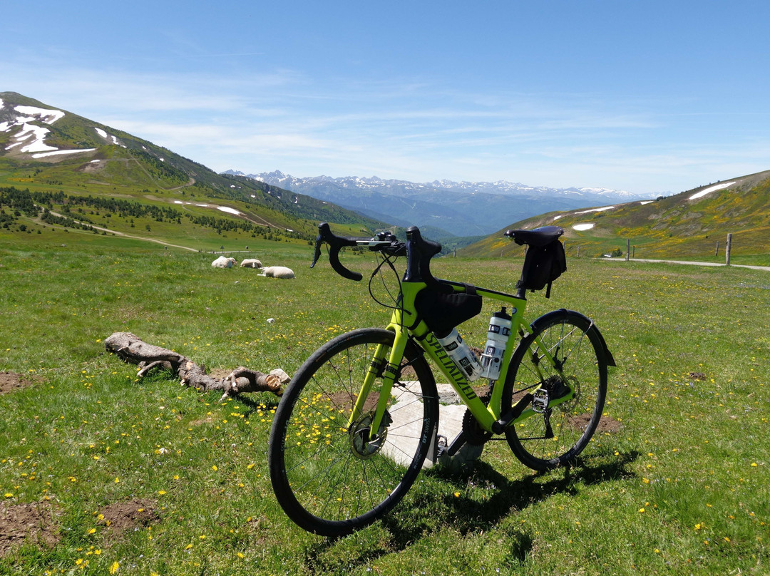 Green Jersey British & Continental Cycling Tours-Cattistock必去景点