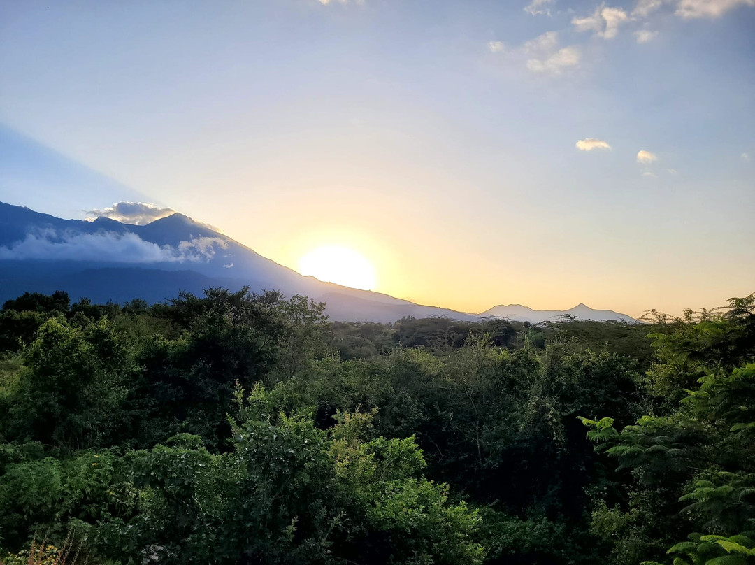 Hillside Retreat – Africa Amini Life